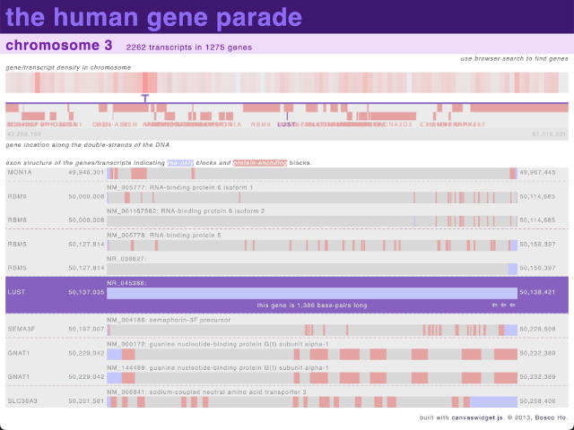 Image of chromosomes