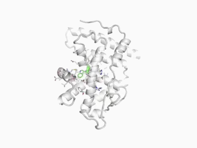Snapshot of atomic protein structure